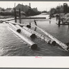 Lumberjack forming log raft in slough, Tillamook, Oregon