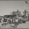 At the farmworkers' community at Indio, California, the newly-acquired school bus picks up one of its three loads of fifty children.  The date palm trees were donated, some by the Crane Date Gardens and some by a Mr. Jenkins