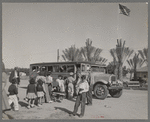 At the farmworkers' community at Indio, California, the newly-acquired school bus picks up one of its three loads of fifty children.  The date palm trees were donated, some by the Crane Date Gardens and some by a Mr. Jenkins