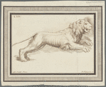 A Leaping Lion