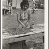 Final picking over of pecan shells. Non-union pecan shelling plant. San Antonio, Texas