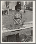 Final picking over of pecan shells. Non-union pecan shelling plant. San Antonio, Texas