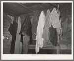 Clothes of Negro sharecropper's family. Near Marshall, Texas