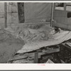 Child of migrant keyworker near Jefferson, Texas. This child was ill with influenza. Had a high fever but was receiving no medical attention