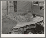 Child of migrant keyworker near Jefferson, Texas. This child was ill with influenza. Had a high fever but was receiving no medical attention