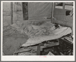 Child of migrant keyworker near Jefferson, Texas. This child was ill with influenza. Had a high fever but was receiving no medical attention