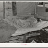 Child of migrant keyworker near Jefferson, Texas. This child was ill with influenza. Had a high fever but was receiving no medical attention