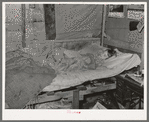 Child of migrant keyworker near Jefferson, Texas. This child was ill with influenza. Had a high fever but was receiving no medical attention