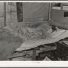 Child of migrant keyworker near Jefferson, Texas. This child was ill with influenza. Had a high fever but was receiving no medical attention