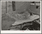 Child of migrant keyworker near Jefferson, Texas. This child was ill with influenza. Had a high fever but was receiving no medical attention