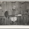 Rifle above bed in relief familiy's home near Jefferson, Texas