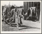 Quilts of family on relief near Jefferson, Texas