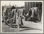Quilts of family on relief near Jefferson, Texas