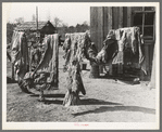 Quilts of family on relief near Jefferson, Texas