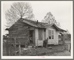 Home of Negro sharecropper near Marshall, Texas