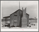 Home of tenant farmer with mud and straw chimney. Near Marshall, Texas