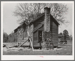 Cabin of Negroes living near Jefferson, Texas. This family owned about thirty acres but were not farming it, doing day labor for a living