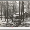 Group of houses in which white migrants were living. These migrants were working in the strawberry fields near Ponchatoula, Louisiana