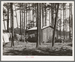 Group of houses in which white migrants were living. These migrants were working in the strawberry fields near Ponchatoula, Louisana