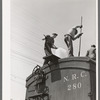 Icing refrigerator cars for shipment of strawberries. Hammond, Louisiana