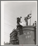 Icing refrigerator cars for shipment of strawberries. Hammond, Louisiana