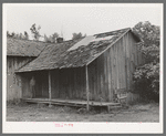 House provided for migrant berry pickers on farm near Hammond, Louisiana