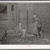 Mexican man gathering refuse at early morning vegetables market. San Antonio, Texas. He will use this to feed hogs
