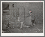 Mexican man gathering refuse at early morning vegetables market. San Antonio, Texas. He will use this to feed hogs