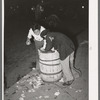 Two young Mexican boy scavengers at early morning market. San Antonio, Texas