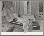 Negro migratory berry picker living in a corncrib near Hammond, Louisiana