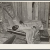 Negro migratory berry picker living in a corncrib near Hammond, Louisiana