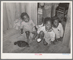 Children of Negro family living on strawberry farm and who do odd jobs connected with the farm and strawberry growing. Near Hammond, Louisiana