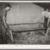 Moving in folding bed into tent home of migratory berry pickers near Hammond, Louisiana