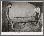 Moving in folding bed into tent home of migratory berry pickers near Hammond, Louisiana