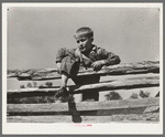 Farm boy resting on rail fence. San Augustine County, Texas