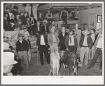 Scene in cattle auction sale. San Augustine, Texas