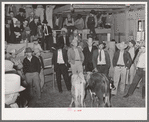 Scene in cattle auction sale. San Augustine, Texas