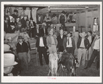 Scene in cattle auction sale. San Augustine, Texas
