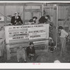 Scene in cattle auction barn. Heifer is coming in from pen. San Augustine, Texas