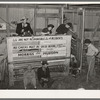 Scene in cattle auction barn. Heifer is coming in from pen. San Augustine, Texas