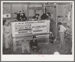 Scene in cattle auction barn. Heifer is coming in from pen. San Augustine, Texas
