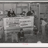 Scene in cattle auction barn. Heifer is coming in from pen. San Augustine, Texas