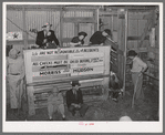 Scene in cattle auction barn. Heifer is coming in from pen. San Augustine, Texas