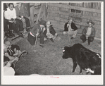Cattle auction. San Augustine, Texas