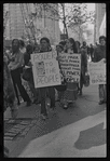 New York University Weinstein Hall demonstration