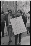 New York University Weinstein Hall demonstration