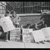 New York University Weinstein Hall demonstration