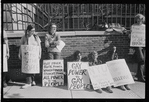 New York University Weinstein Hall demonstration