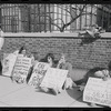 New York University Weinstein Hall demonstration