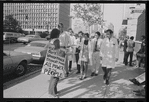 New York University Weinstein Hall demonstration